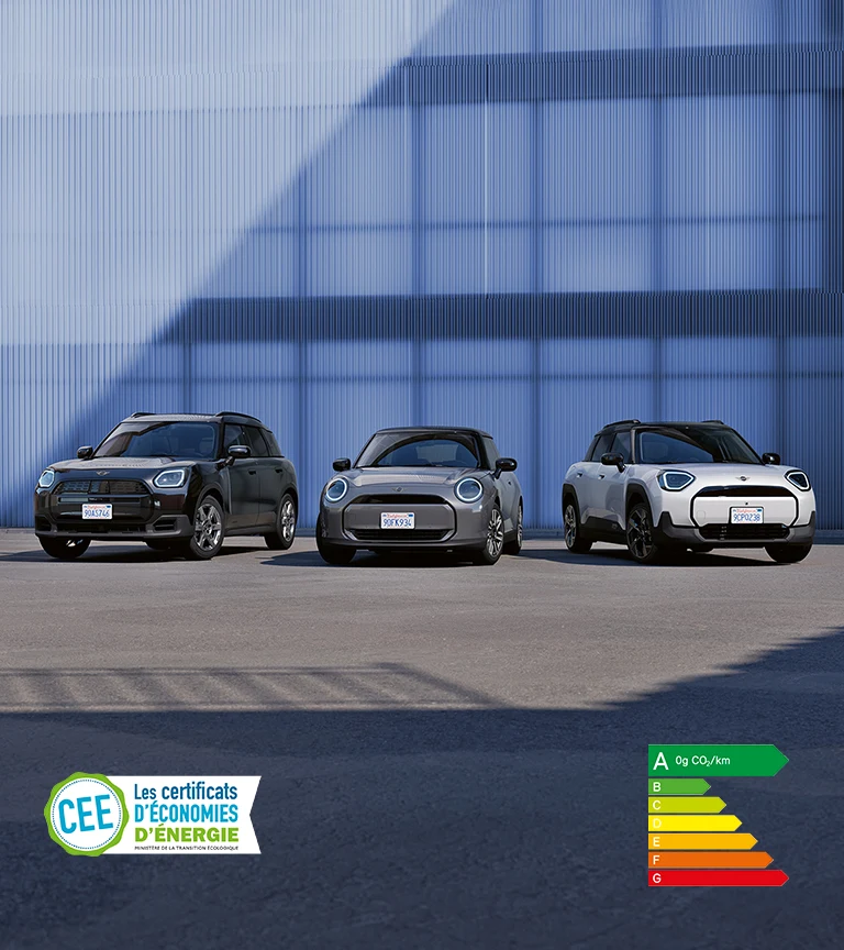 Famille MINI