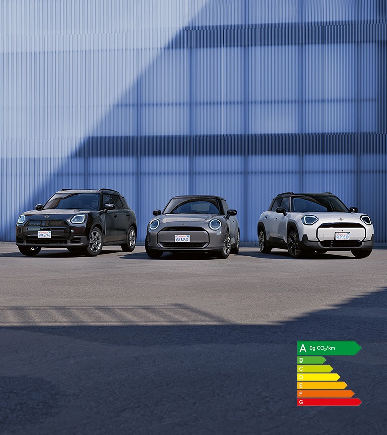 Famille MINI