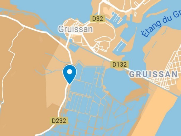 Google Maps