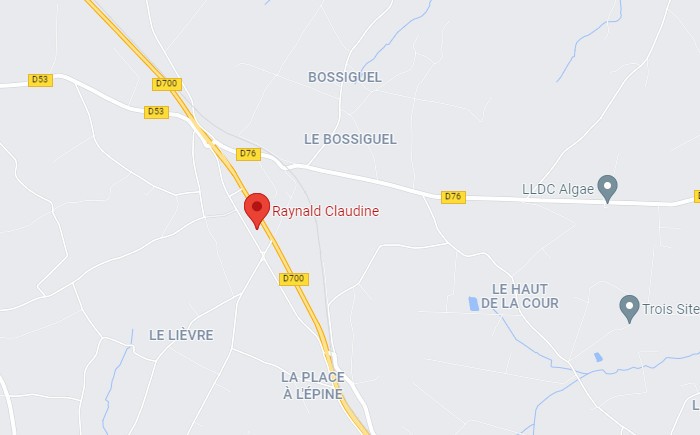 Google Maps