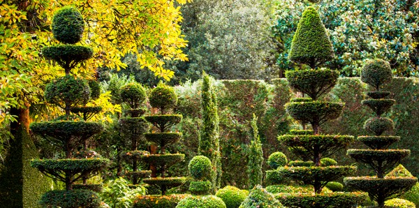 Les jardins de La Ballue