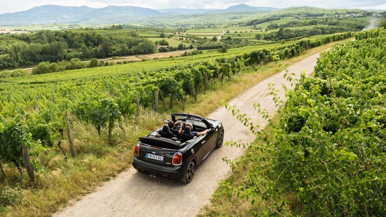Route des vins nature