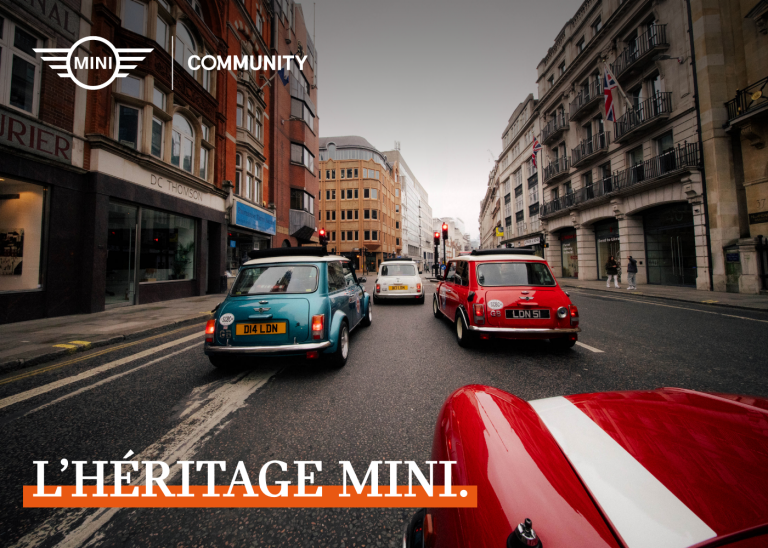 MINI SOCIETY