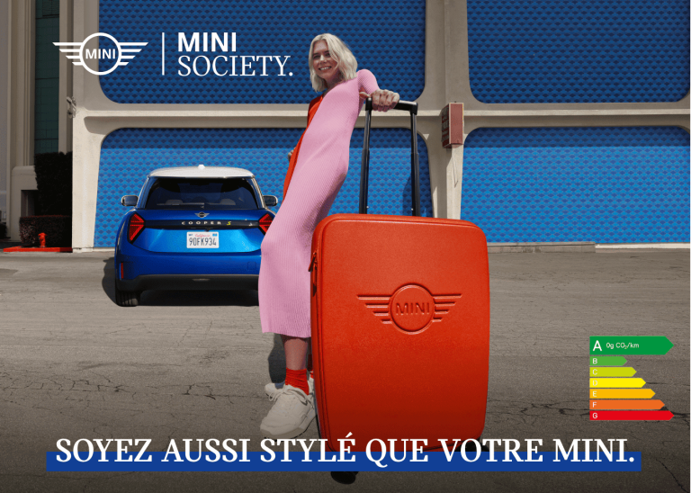 MINI SOCIETY